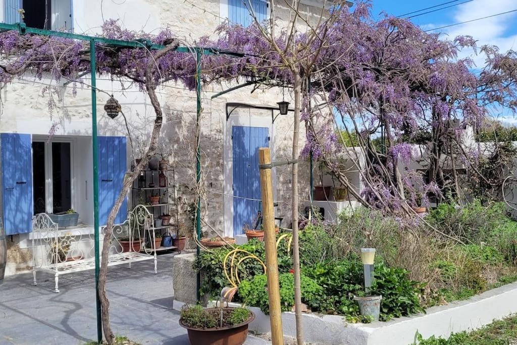 Location Appartement Dans Mas Provencal Monteux Exteriér fotografie