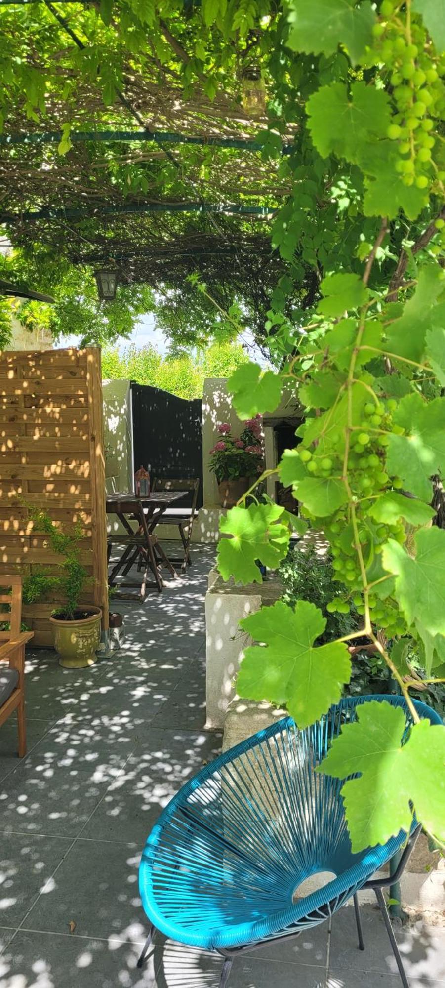 Location Appartement Dans Mas Provencal Monteux Exteriér fotografie